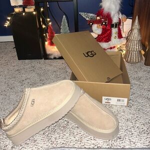 Authentic Ugg Tazz mustard seed